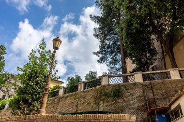 Avrupa, İtalya, Roma, Vatikan Şehri, bir binanın önündeki ağaç