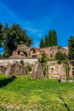 Roma 'daki Roma Forumundaki antik kalıntılar.