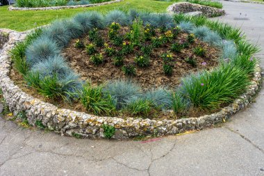 İtalya, Floransa, bir çiçek bahçesi.