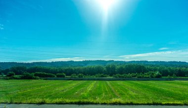 Avrupa, İtalya, Roma 'dan Floransa' ya tren, arkasında ağaçlar olan büyük yeşil bir alan.