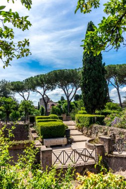 Avrupa, İtalya, Roma, Roma Forumu, bir bahçede ahşap bir heykel