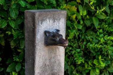 İtalya, Roma, Roma Forumu, bir kurt heykeli taş bir levhada