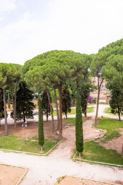 Avrupa, İtalya, Roma, Castel Sant Angelo, Hadrian mozolesi, ağacın yanında ağaçlar olan bir yol.