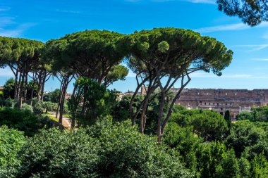 Roma 'daki Palatine Hill' deki Roma Forumundaki antik kalıntılar.