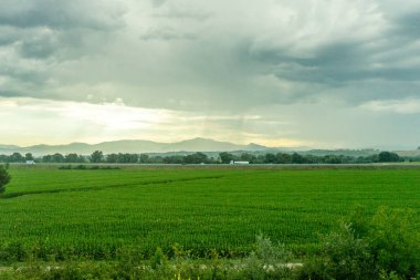 Avrupa, İtalya, Roma 'dan Floransa trenine. Gökyüzünde bulutlar olan büyük yeşil bir alan.