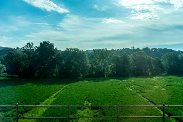 Europa Italia Roma Florencia Tren Primer Plano Campo Verde Exuberante — Foto de Stock