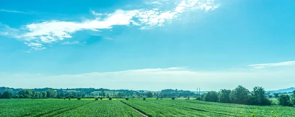 Europa Italia Roma Florencia Tren Gran Campo Verde Con Árboles — Foto de Stock