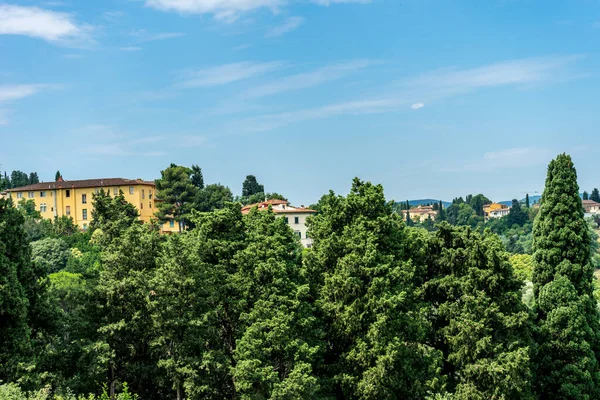 Europa Italia Florencia Gran Árbol Verde Frente Edificio — Foto de Stock