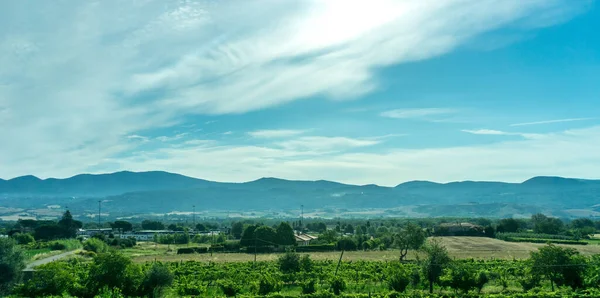 Europa Italia Roma Florencia Tren Gran Campo Verde Con Una — Foto de Stock