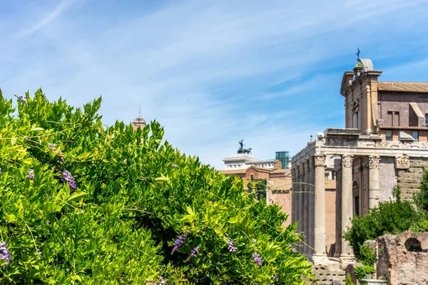 Europa Italië Rome Forum Romanum Een Groot Stenen Gebouw Met — Stockfoto