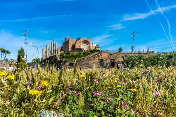 Antika Ruinerna Vid Forum Romanum För Venus Och Romernas Tempel — Stockfoto