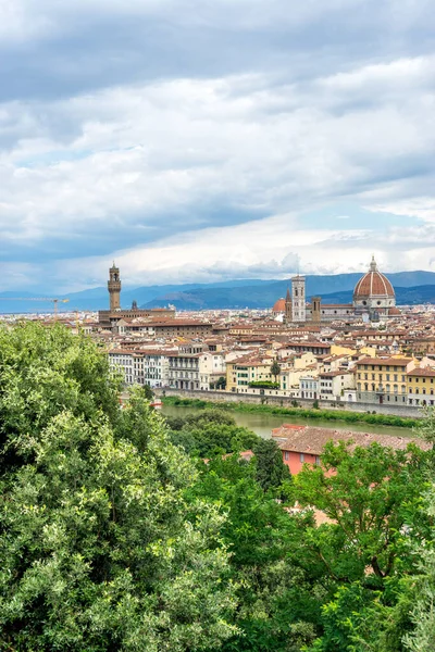 Panaromic Vista Florencia Con Palazzo Vecchio Duomo Visto Desde Piazzale —  Fotos de Stock