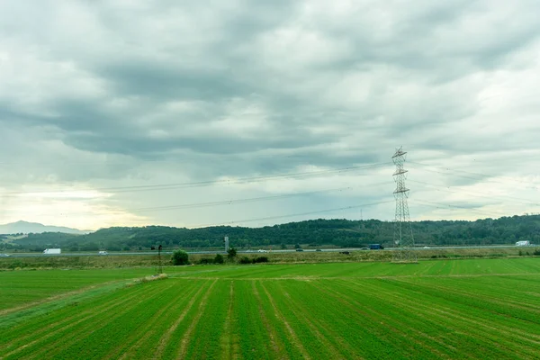 ヨーロッパ イタリア ローマからフィレンツェへ電車 空に雲のある大きな緑のフィールド — ストック写真