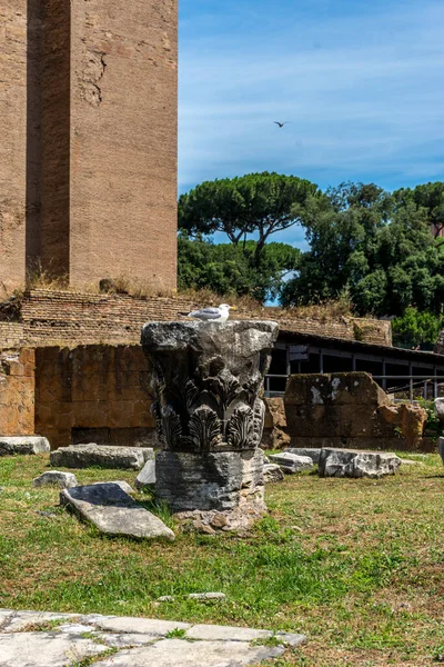 Europa Itália Roma Fórum Romano Uma Torre Relógio Frente Edifício — Fotografia de Stock