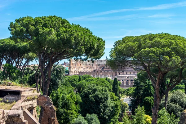 Oude Ruïnes Van Het Forum Romanum Palatijn Heuvel Colosseum Rome — Stockfoto