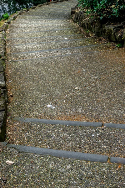 Italy Florence Steps Leading — Stock Photo, Image