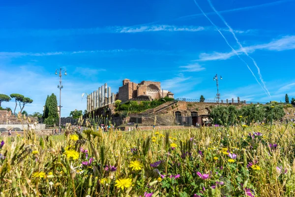 Antika Ruinerna Vid Forum Romanum För Venus Och Romernas Tempel — Stockfoto