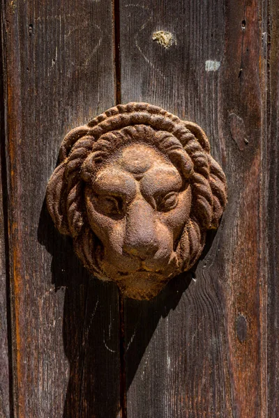 Италия Венеция Крупным Планом Деревянная Дверь Львом — стоковое фото