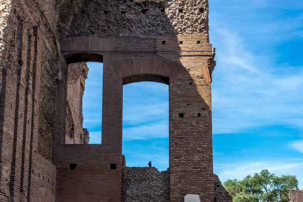Oude Ruïnes Van Het Forum Romanum Palatijn Heuvel Rome — Stockfoto