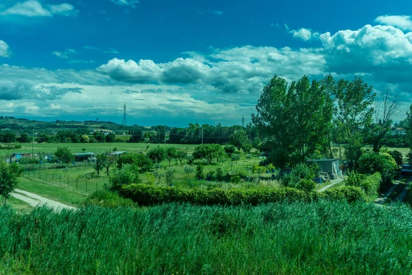 Europa Italia Florencia Pisa Tren Gran Campo Verde Con Árboles — Foto de Stock