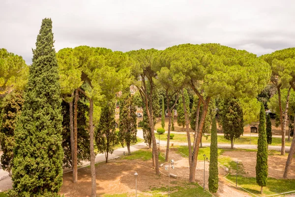 Italia Roma Castel Sant Angelo Mausoleo Adriano Árbol Jardín — Foto de Stock