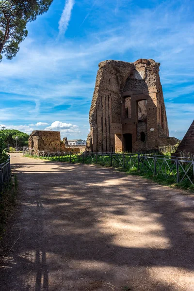 Las Ruinas Antiguas Foro Romano Colina Palatina Roma — Foto de Stock