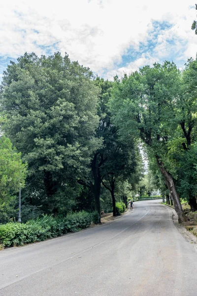 Italië Florence Een Weg Temidden Van Bomen — Stockfoto