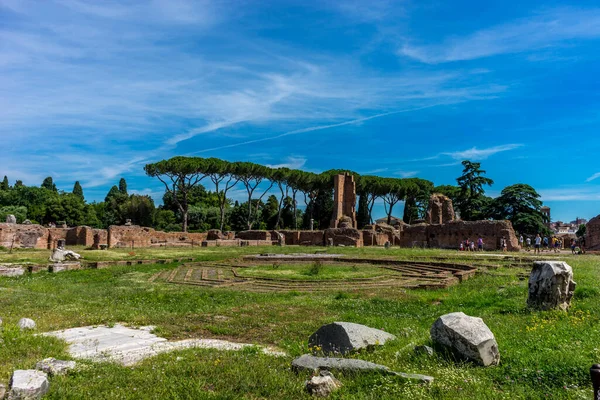Ruínas Antigas Fórum Romano Colina Palatina Roma Itália Europa — Fotografia de Stock