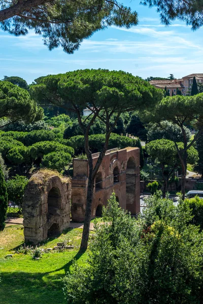 Las Ruinas Antiguas Foro Romano Colina Palatina Roma — Foto de Stock