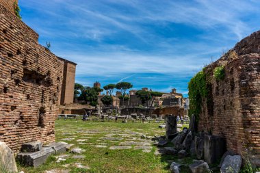 Roma, İtalya - 24 Haziran 2018: Roma 'daki Roma Forumundaki antik kalıntılar, Palatine Tepesi