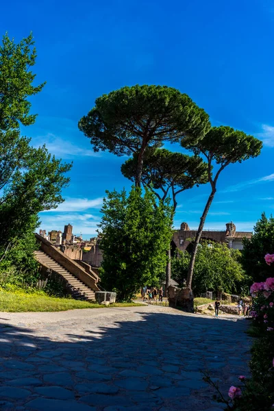 Roma Giugno 2018 Antiche Rovine Del Foro Romano Roma Famoso — Foto Stock