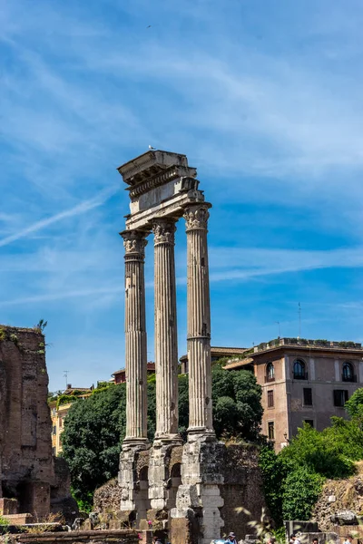 Roma Itália Junho 2018 Antigas Ruínas Templo Castor Pollux Fórum — Fotografia de Stock