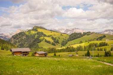 Seiser Alm, İtalya - 29 Haziran 2018: Seiser Alm, Alpe Di Siusi, İtalya