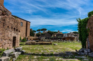 Roma, İtalya - 24 Haziran 2018: Roma 'daki Roma Forumundaki antik kalıntılar, Palatine Tepesi