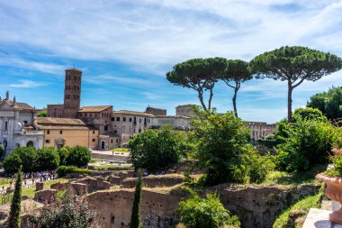 Roma, İtalya - 24 Haziran 2018: Roma 'daki Palatine Hills, Roma Forumu' ndaki Maxentius Bazilikası 'nın antik kalıntıları