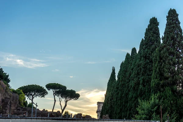Rome Italië Juni 2018 Zonsondergang Tuinen Van Het Romeinse Forum — Stockfoto