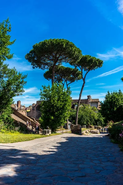 Рим Италия Июня 2018 Года Древние Руины Римского Форума Риме — стоковое фото