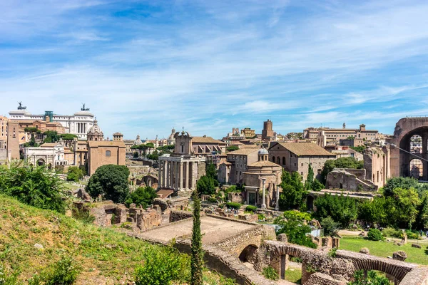 Rome Italië Juni 2018 Oude Ruïnes Van Het Forum Romanum — Stockfoto