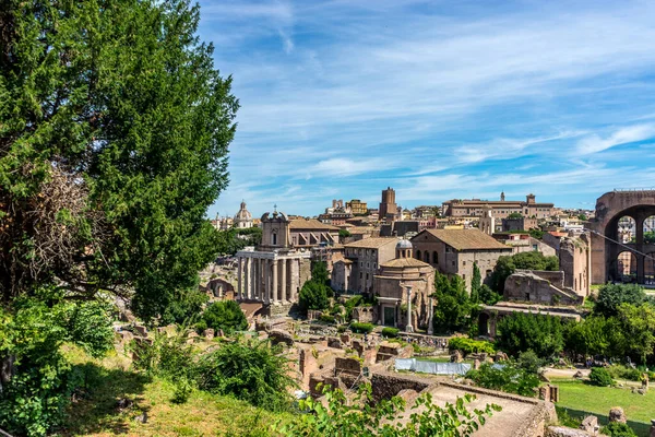 Rome Italië Juni 2018 Oude Ruïnes Van Het Forum Romanum — Stockfoto