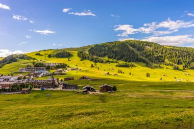 Seiser Alm, İtalya - 29 Haziran 2018: Seiser Alm, Alpe Di Siusi, İtalya
