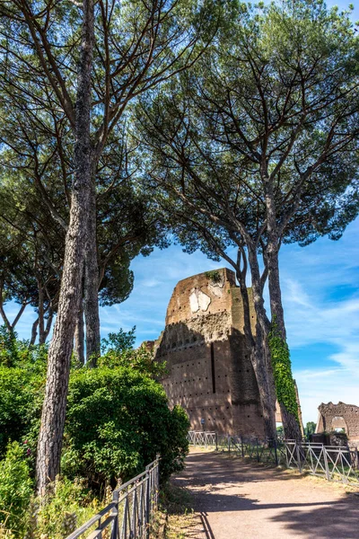 Rome Italië Juni 2018 Oude Ruïnes Van Het Forum Romanum — Stockfoto