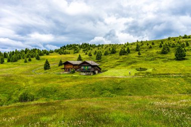 Seiser Alm, İtalya - 29 Haziran 2018: Seiser Alm 'in yamaçlarında Sassolungo Langkofel Dolomite, Alpe Di Siusi ile birlikte bir çiftçi