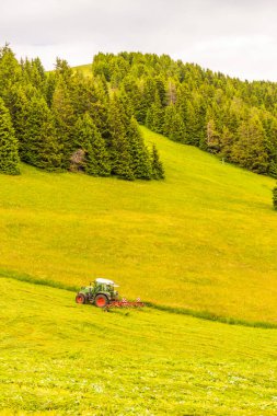 Seiser Alm, İtalya - 29 Haziran 2018: Seiser Alm 'in yamaçlarında Sassolungo Langkofel Dolomite, Alpe Di Siusi ile birlikte bir çiftçi traktörü