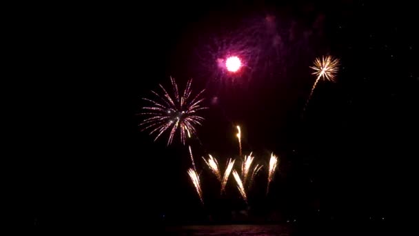 Evento Anual Fuegos Artificiales Verano Playa Scheveningen Den Haag Agosto — Vídeo de stock