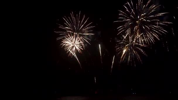 Evento Estivo Annuale Fuochi Artificio Sulla Spiaggia Scheveningen Den Haag — Video Stock