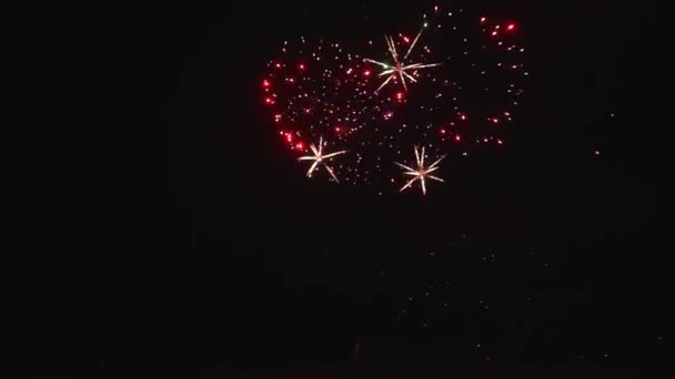 Evento Anual Fogos Artifício Verão Praia Scheveningen Den Haag Agosto — Vídeo de Stock