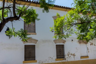 İspanya, Cordoba, Avrupa, Düşük Açı Ağaç ve İnşaat Görüş Alanı