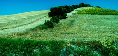 İspanya, Ronda, Avrupa, AGRICULTURAL Alanının Sahne Görüntüsü Yine Gökyüzü