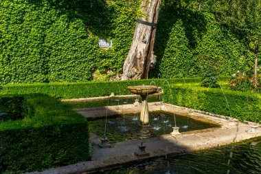 İspanya, Granada, Avrupa, Park 'taki Gölün Sahne Görüntüsü