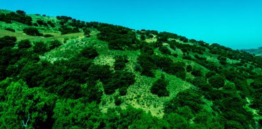 İspanya, Ronda, Avrupa, AGRICULTURAL Alanının Sahne Görüntüsü Yine Gökyüzü